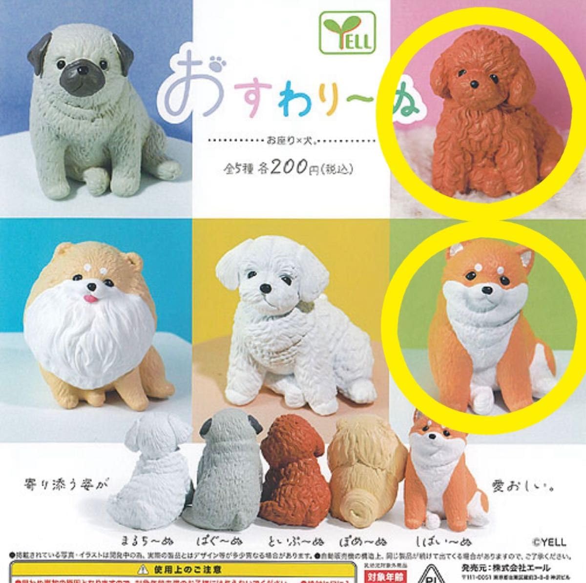 Amazon.co.jp: おすわりーぬ おすわり?ぬ 柴犬 トイプードル 2点セット
